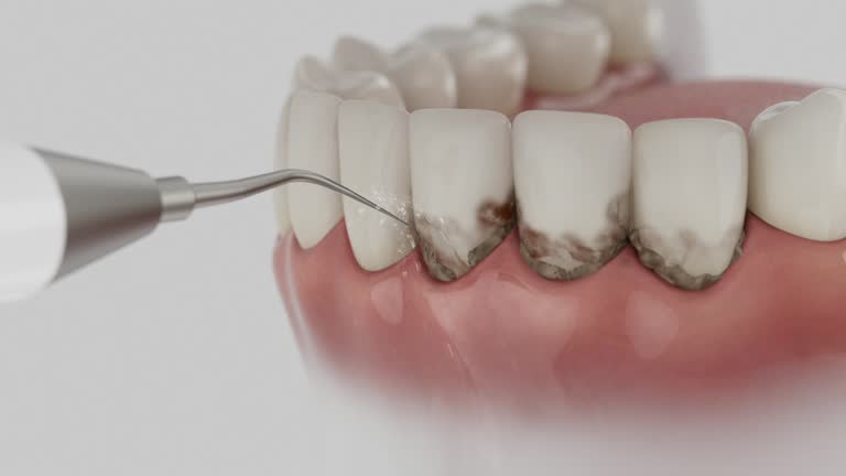 Reliable Dental contractor in Benson County County, ND by Dentist Open Now